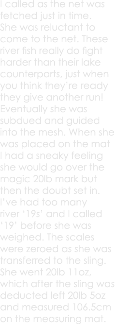 I called as the net was fetched just in time. She was reluctant to come to the net. These river fish really do fight ...