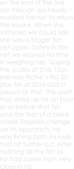 on the end of the line ran through our heads, I readied the net to return the favour. When she surfaced we could see ...