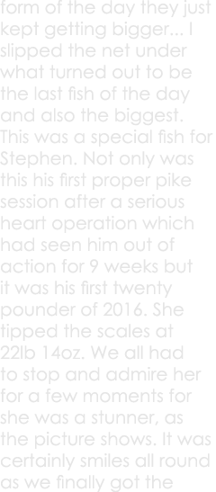 form of the day they just kept getting bigger... I slipped the net under what turned out to be the last fish of the d...