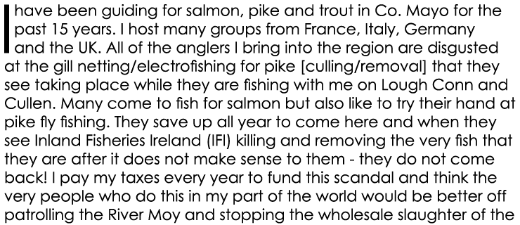 I have been guiding for salmon, pike and trout in Co. Mayo for the past 15 years. I host many groups from France, Ita...