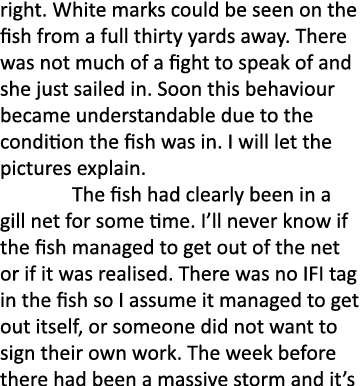 right. White marks could be seen on the fish from a full thirty yards away. There was not much of a fight to speak of...