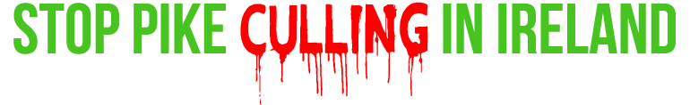 Stop pike culling in Ireland