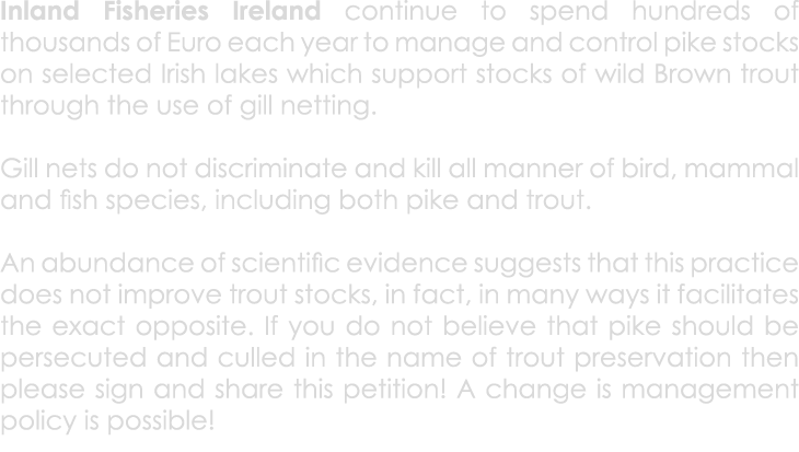 Inland Fisheries Ireland continue to spend hundreds of thousands of Euro each year to manage and control pike stocks ...