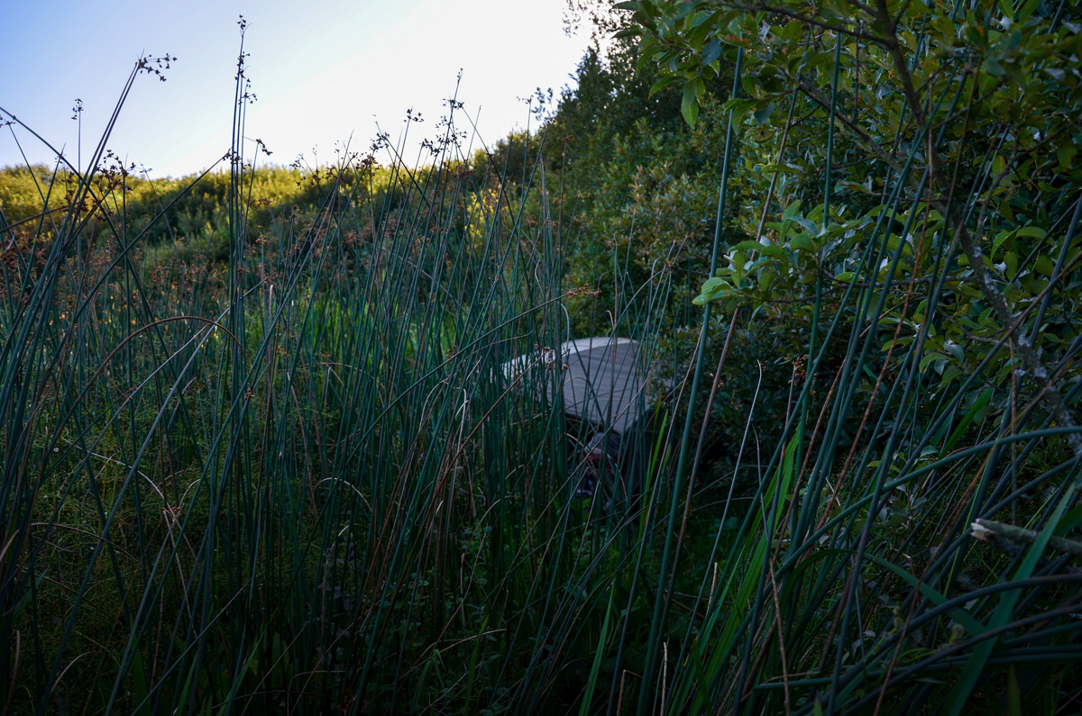 carp fishing secret lake