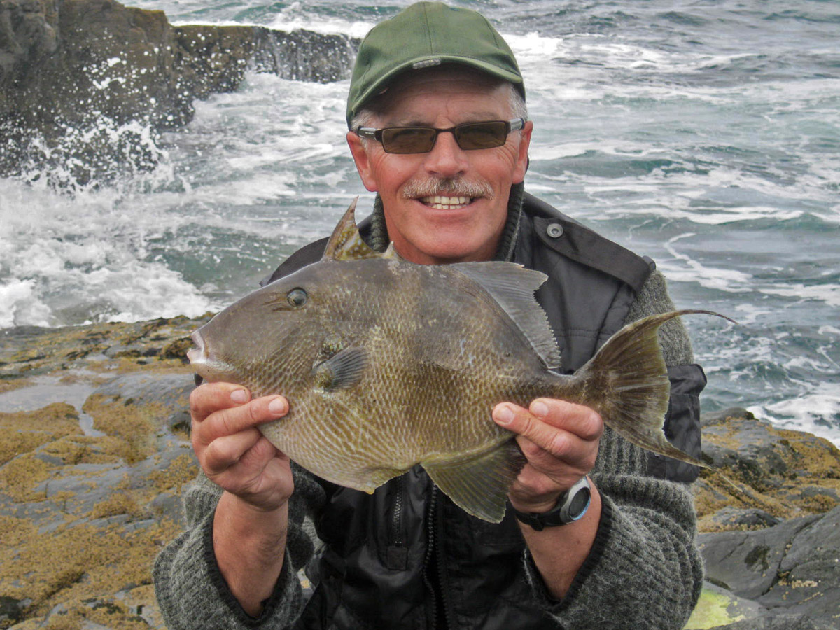 Off the Scale magazine - stranger on the shore: triggerfish
