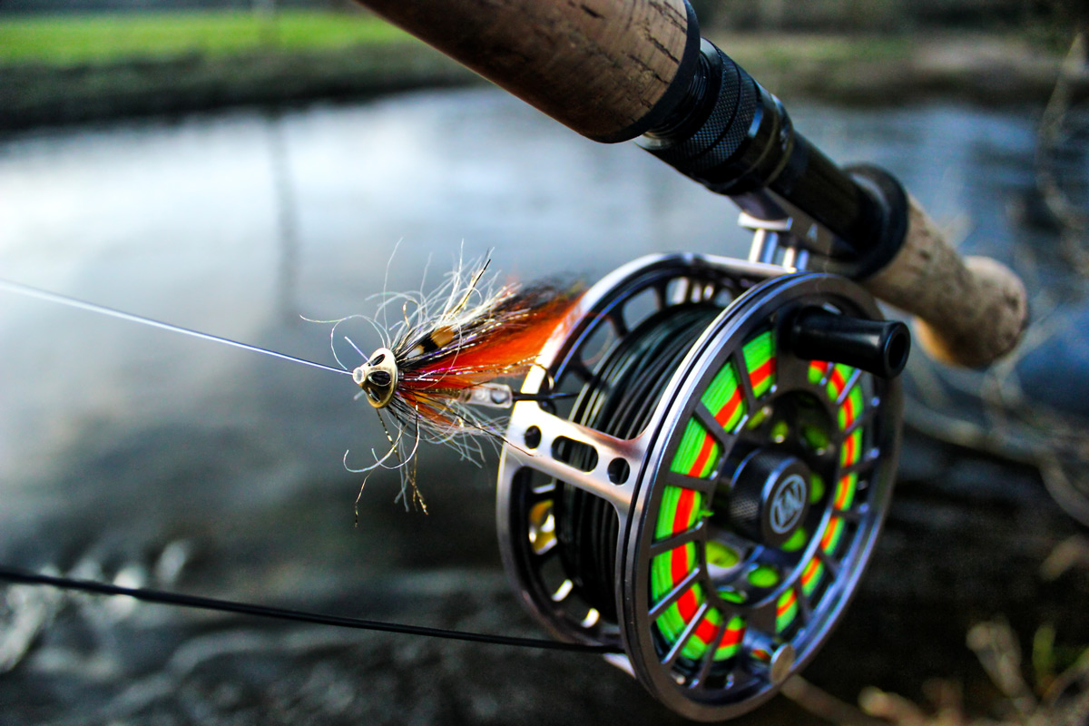 salmon fly fishing