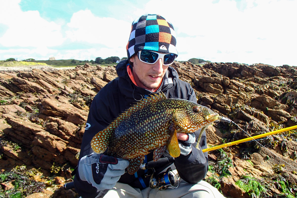 Ballan wrasse fishing on lures