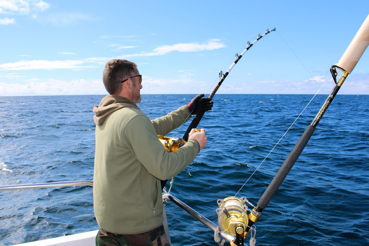 bluefin tuna recreational angling catch and release