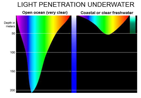 Light penetration underwater