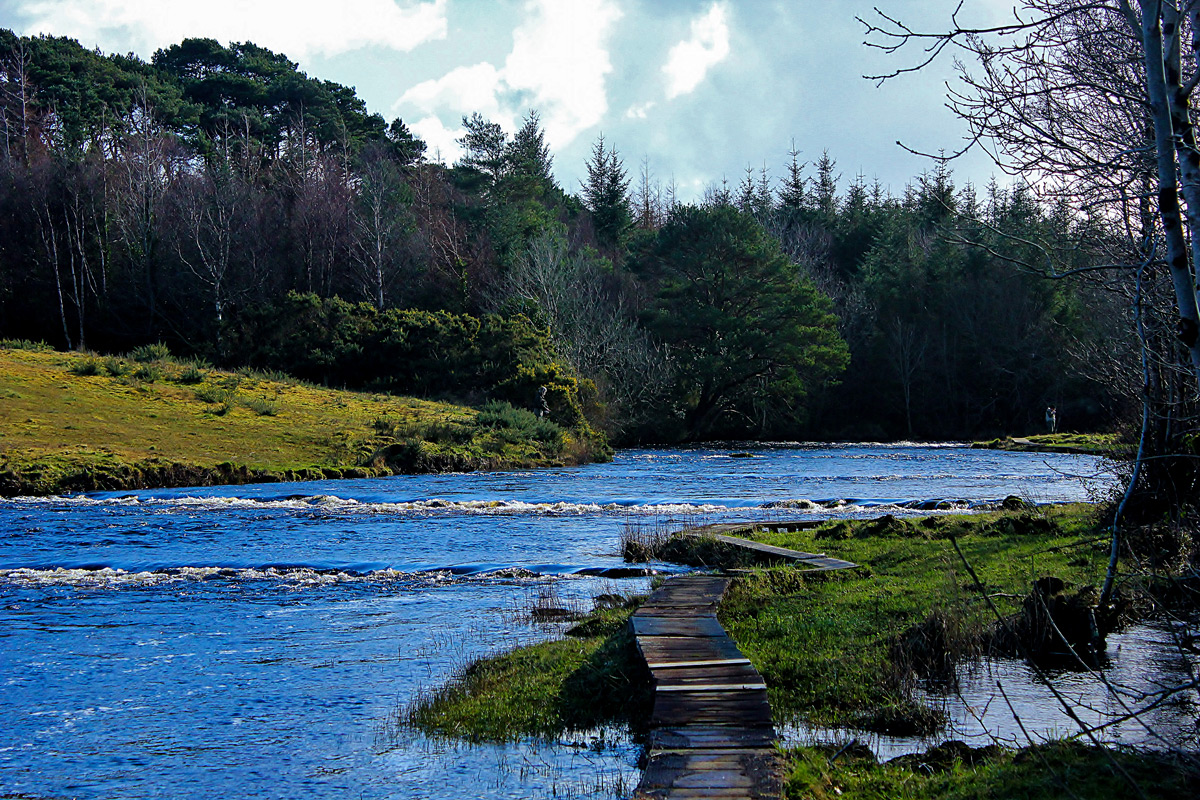 River Drowes salmon