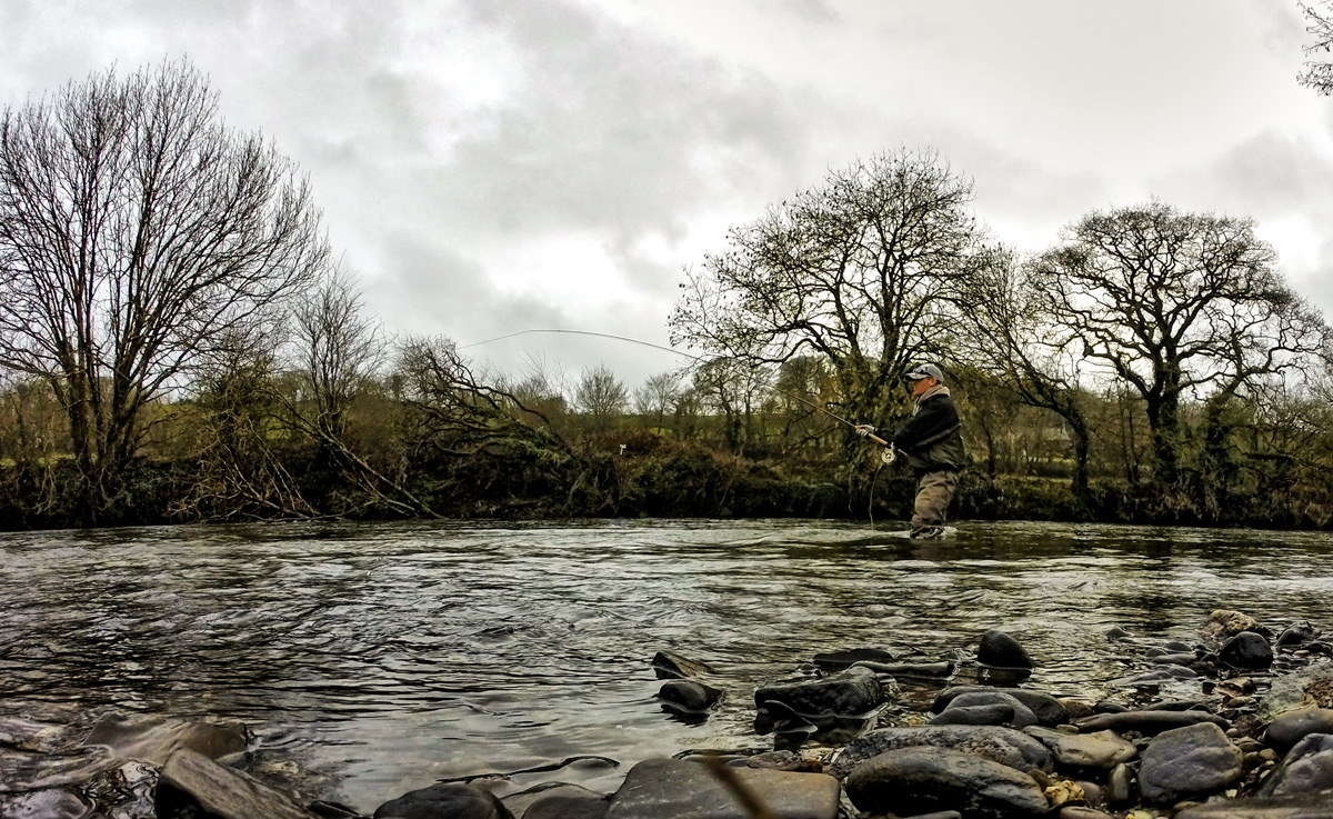 salmon fly casting