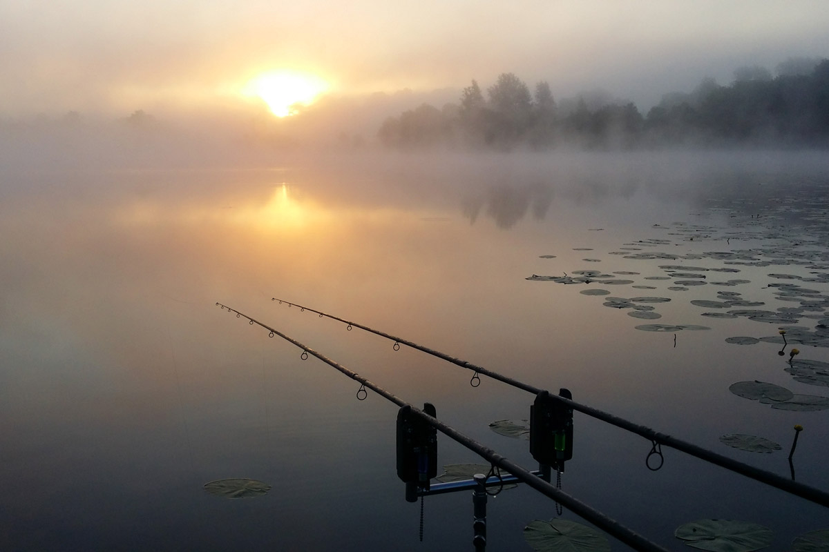 fishing dawn