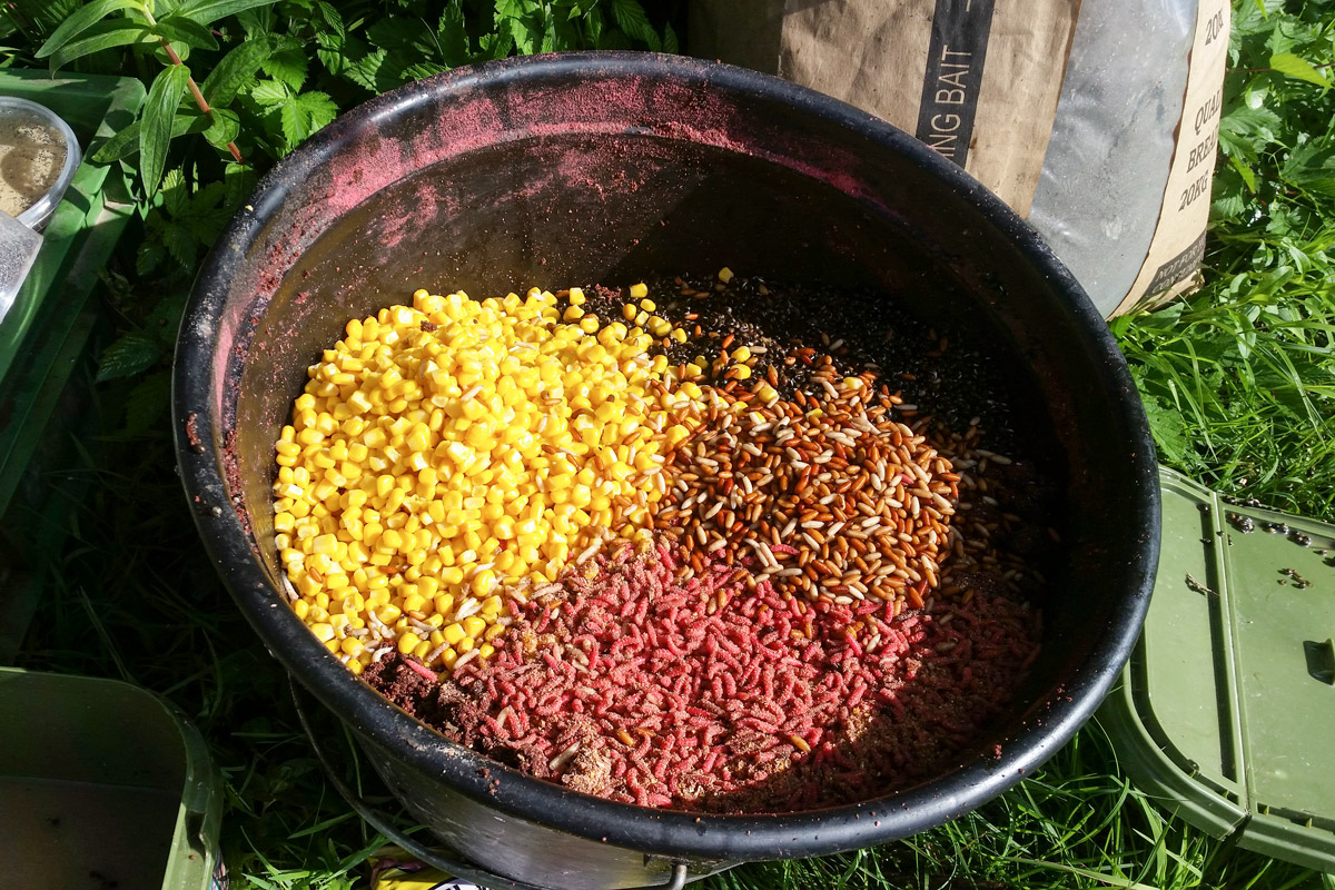 bream fishing Ireland