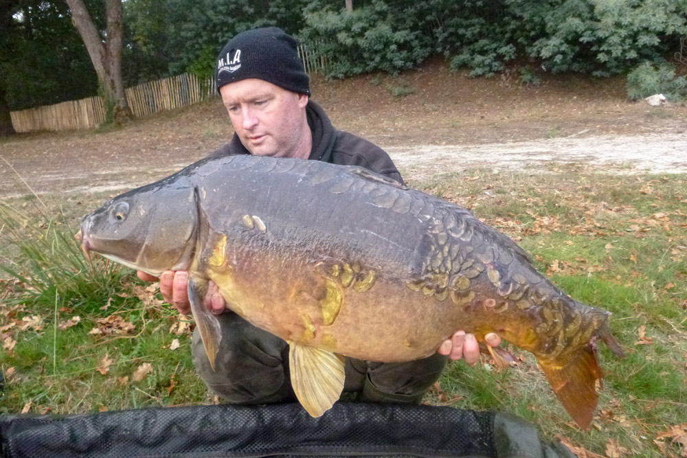 France mirror carp