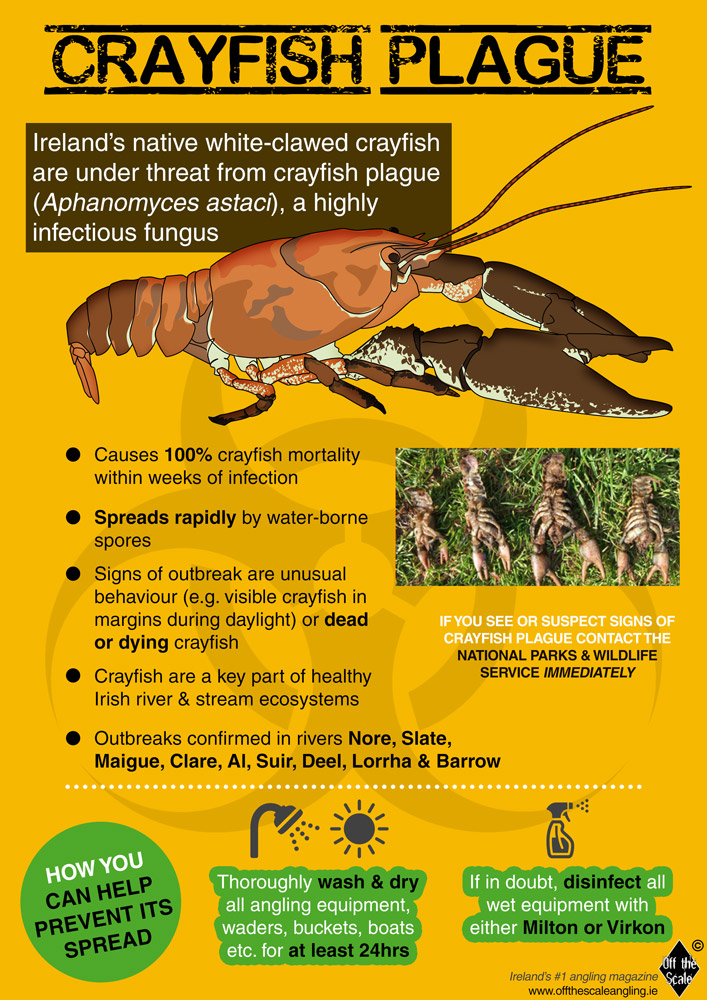 crayfish plague awareness