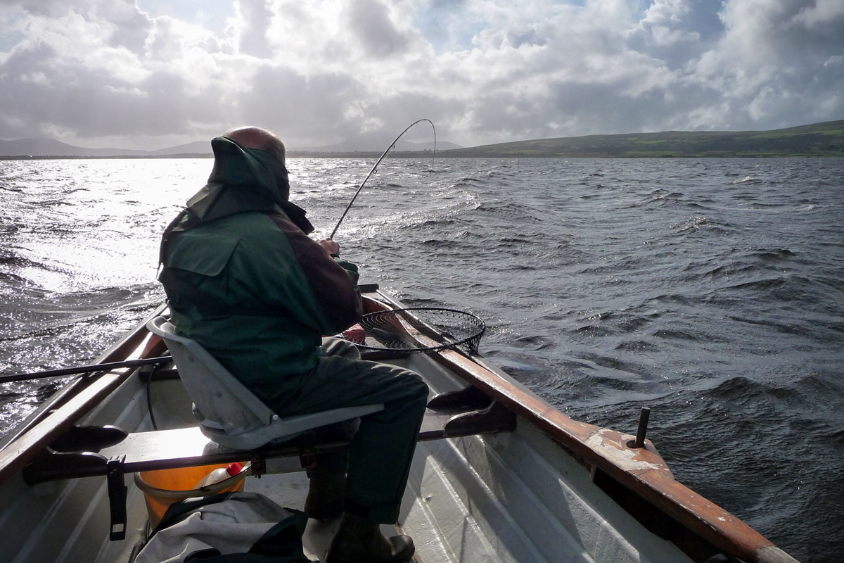 Lough Currane sea trout