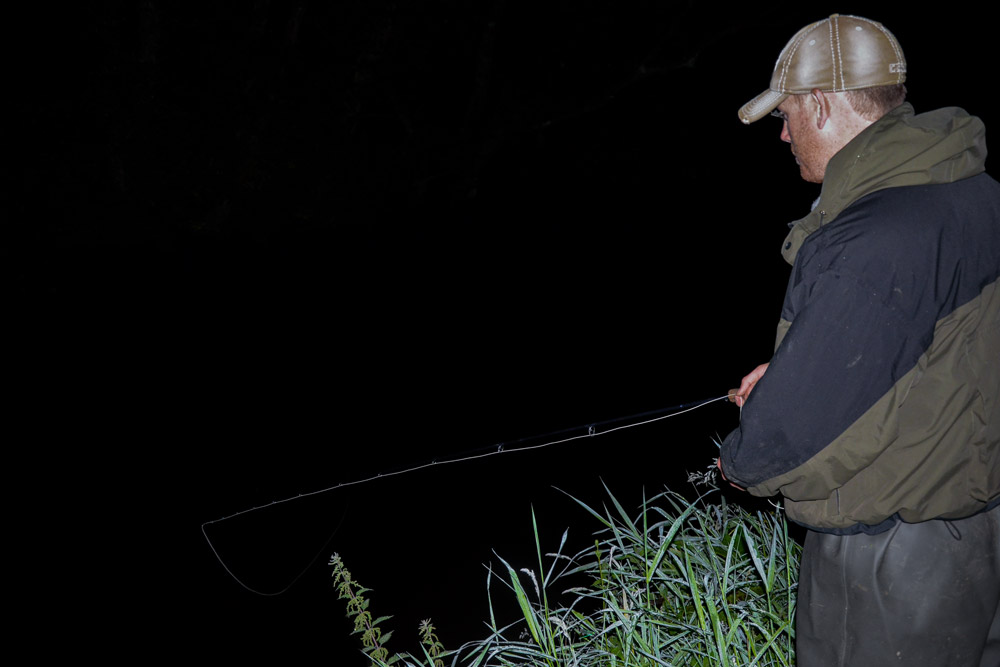 night fishing for sea trout