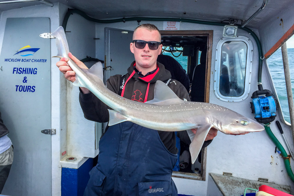Kit Dunne smooth hound
