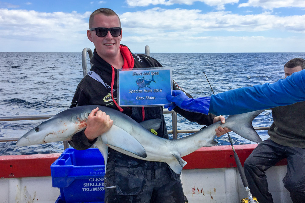 blue shark fishing
