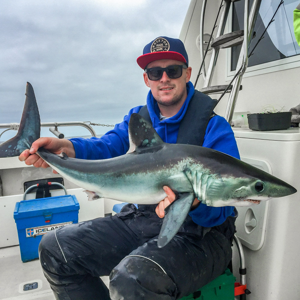 porbeagle shark fishing