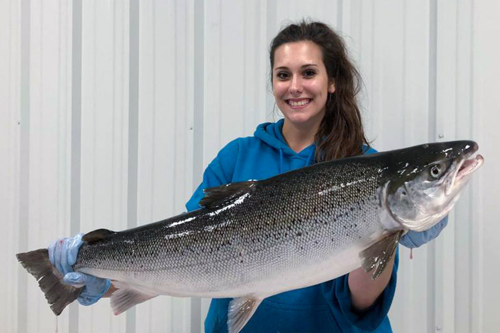 land based salmon farming