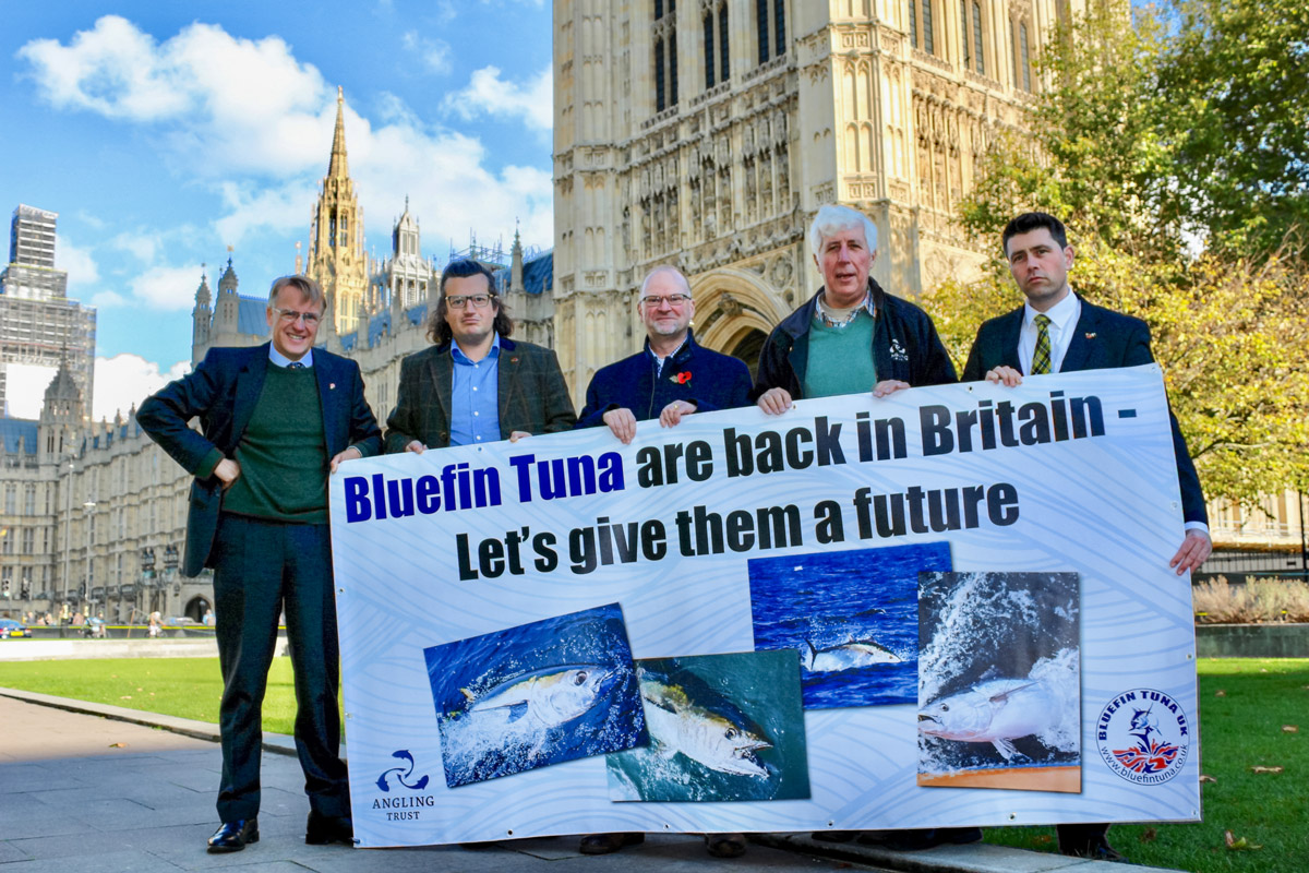 Bluefin Tuna UK campaign