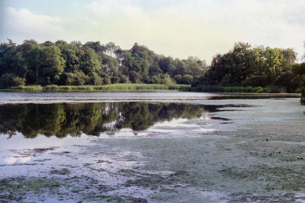 Lough NaGlack fish kill