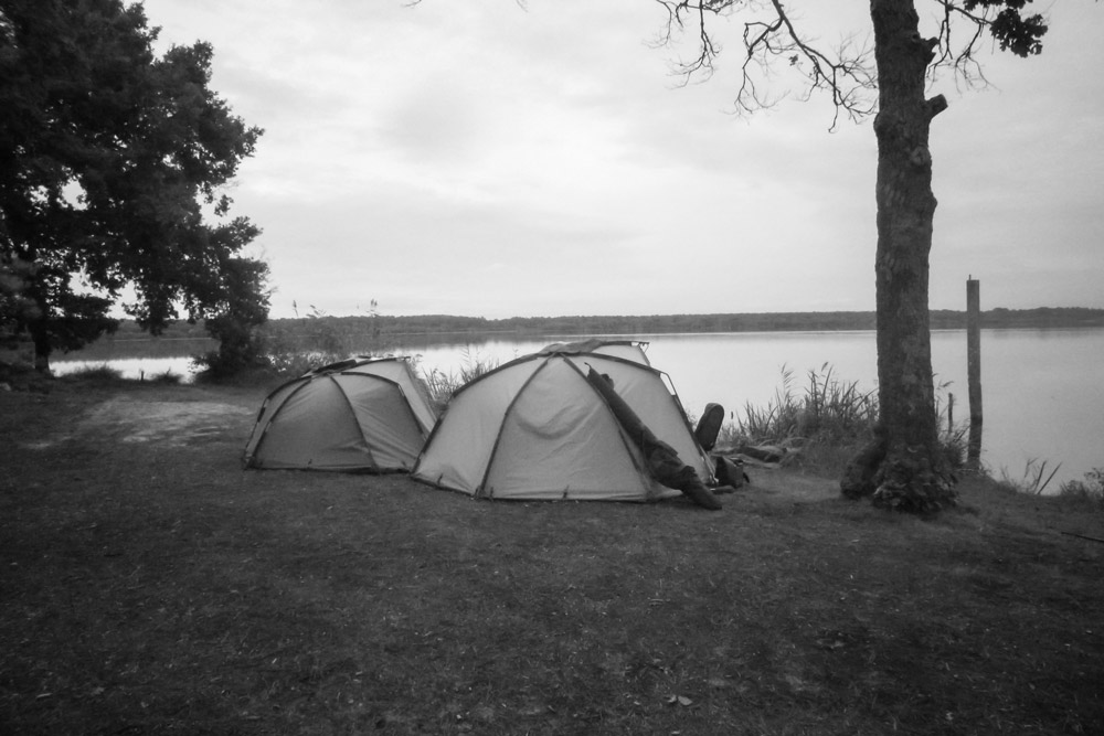 French carp fishing