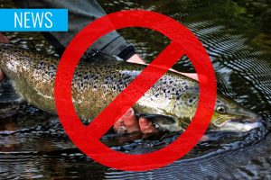 catch and release ban