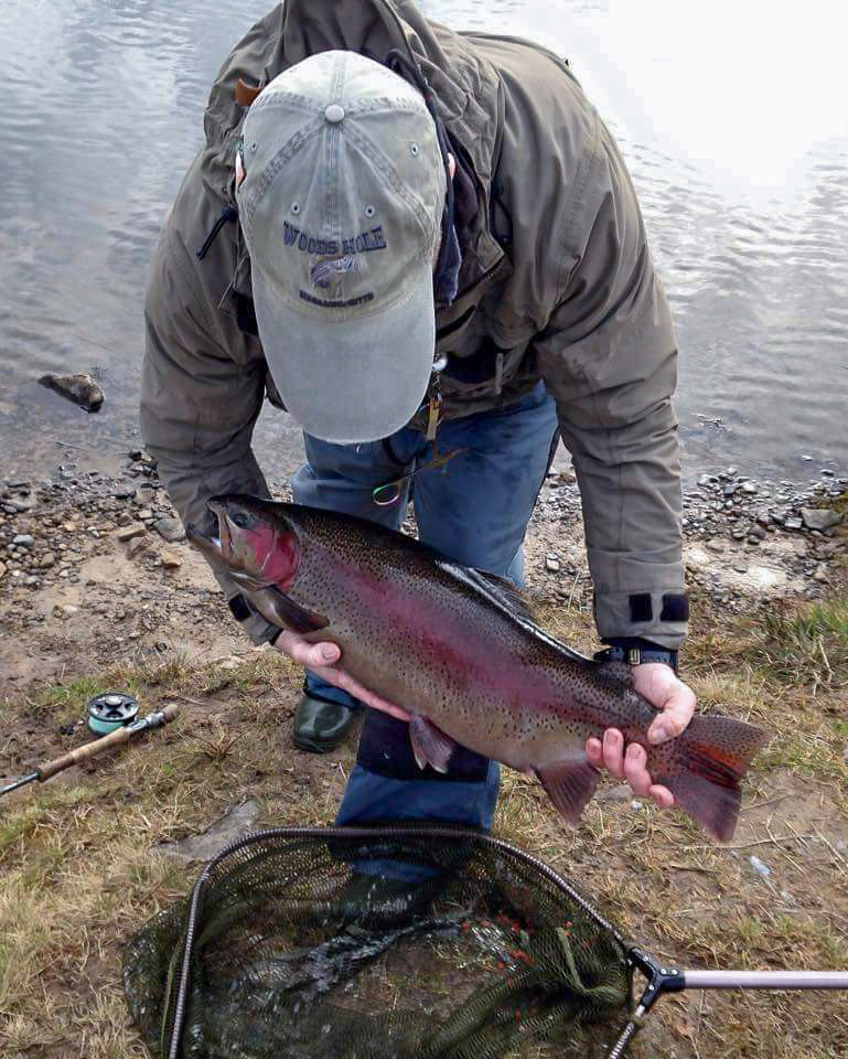 rainbow trout fishing