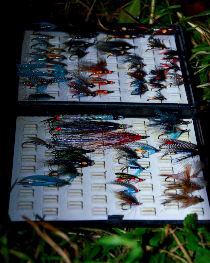 sea trout flies
