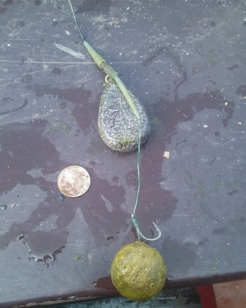 short rig carp fishing