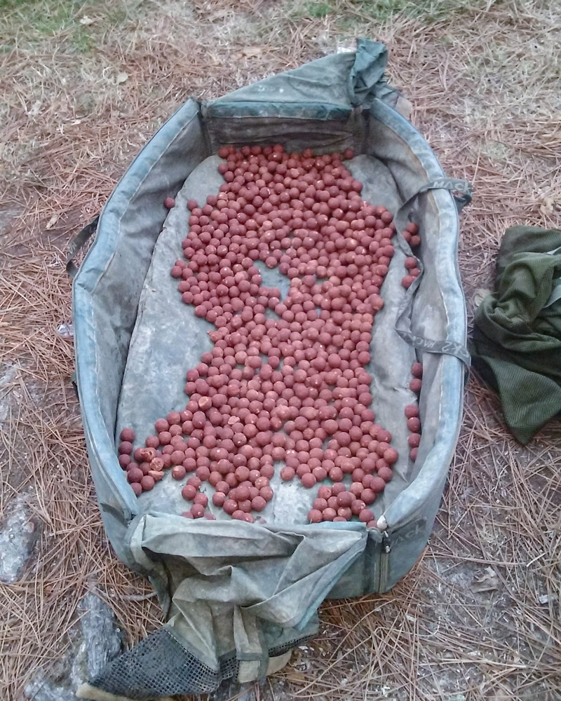 boilie making