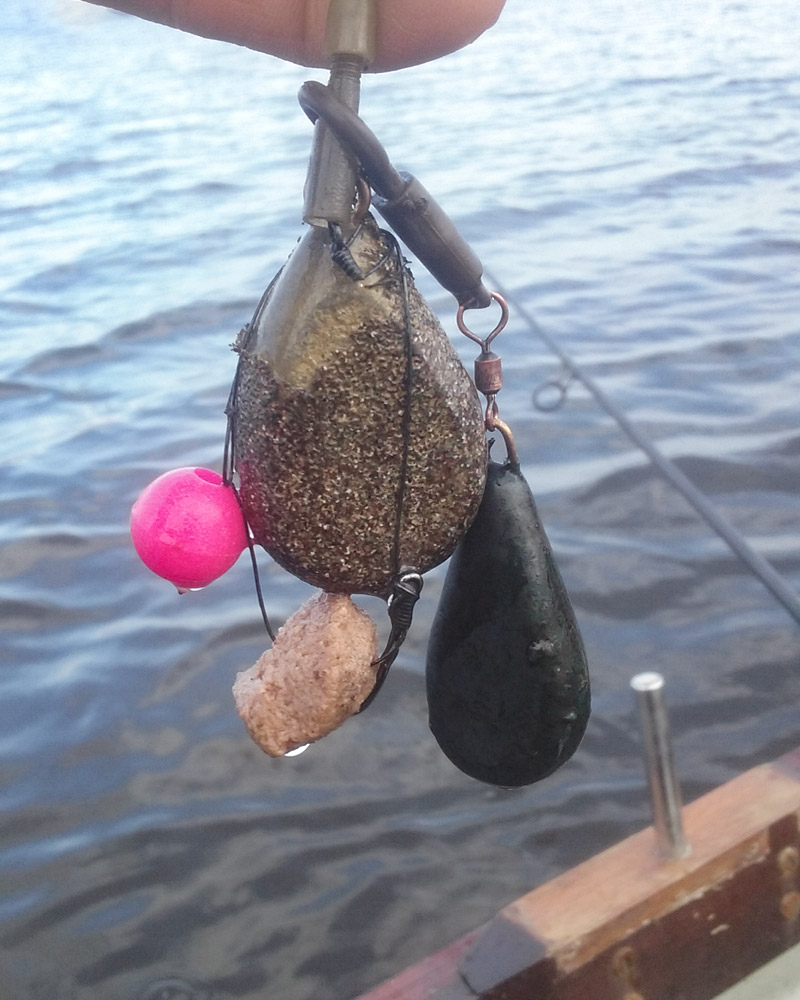 carp fishing rig